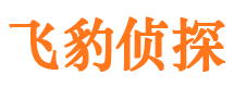 布拖市侦探公司